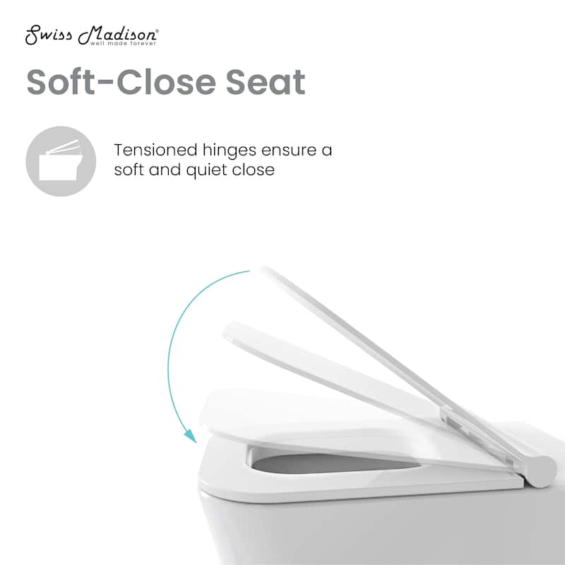 Charme Back To Wall Toilet Bowl Bundle In Glossy White - 22" x 17.3" 16.3"