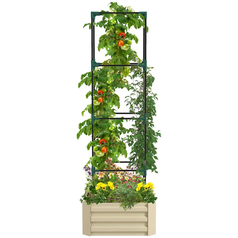 Raised Planter Box Outdoor with Tomato Cage Trellis Bottomless Design - White
