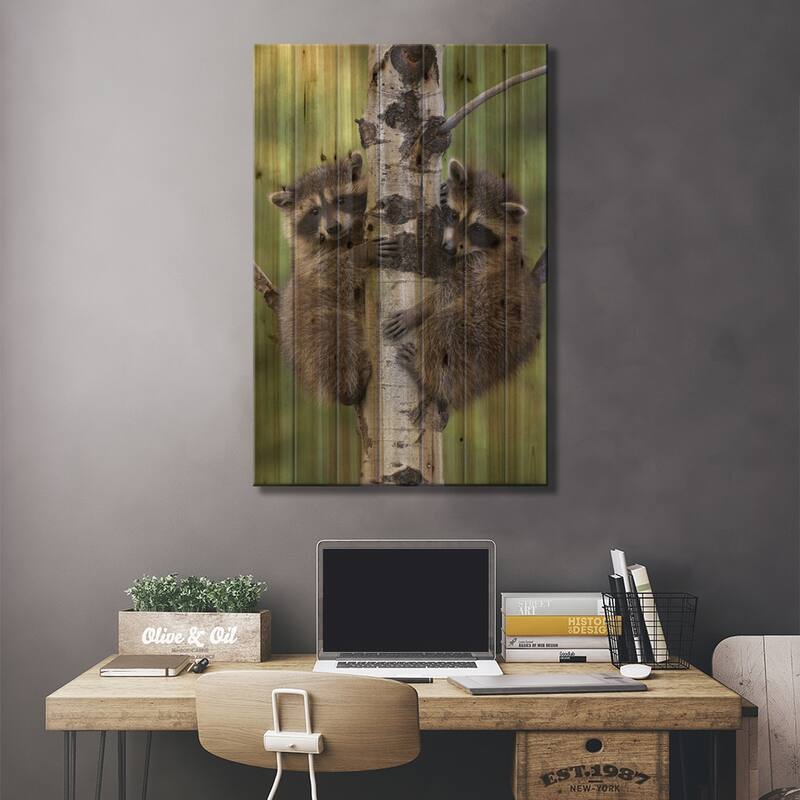 Raccoon Two Babies Climbing Tree, North America II Print On Wood by Tim Fitzharris - Multi-Color