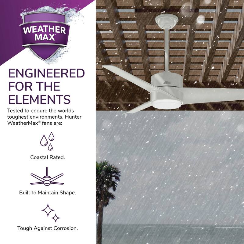 Hunter 54" Havoc WeatherMax Outdoor Ceiling Fan with LED Light Kit and Wall Control