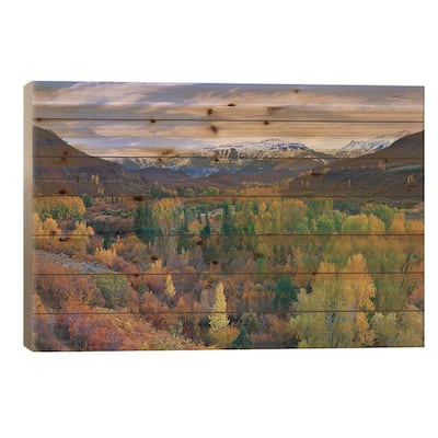 Quaking Aspen Forest In Autumn, Snowmass Mountain Near Quaking Aspen, Colorado Print On Wood by Tim Fitzharris - Multi-Color