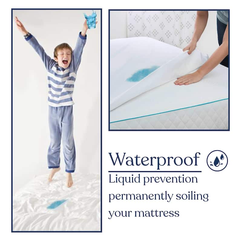 Delara 100% Organic Cotton Mattress Protector, Waterproof Ultra Soft 300TC Cover