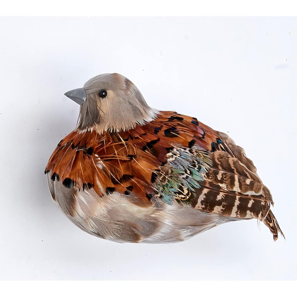 5" Feathered Partridge