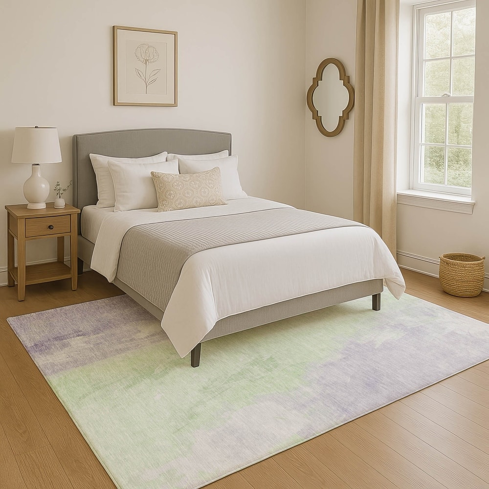 Premium Washable Super Soft Modern Watercolor Mayfield Rug