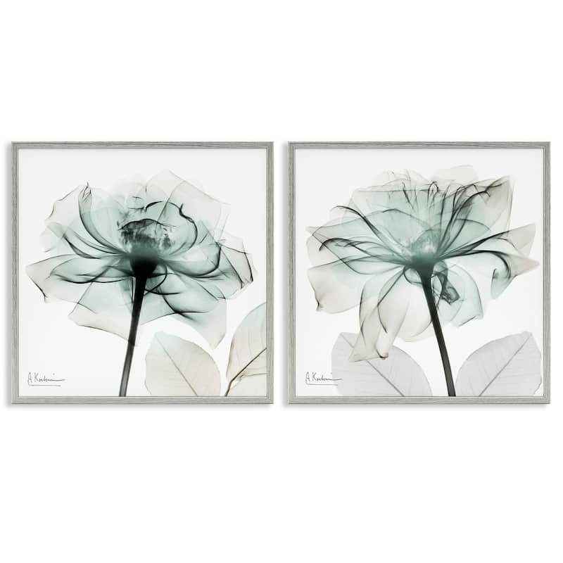 Stupell Serene Emerald Rose Framed Giclee Art Design By Albert Koetsier (Set of 2) - 24 x 24 - Grey