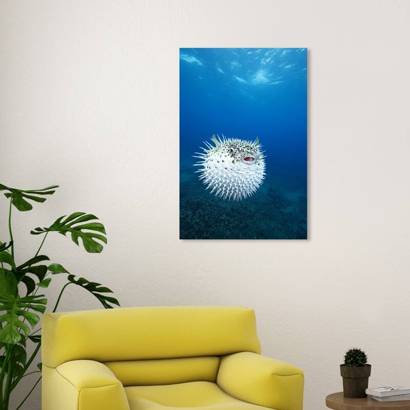 Wynwood Studio Canvas Animals David Fleetham - Spotted PorcupineFish Blue and Nautical & Coastal Wall Art Canvas Print - 30 x 20