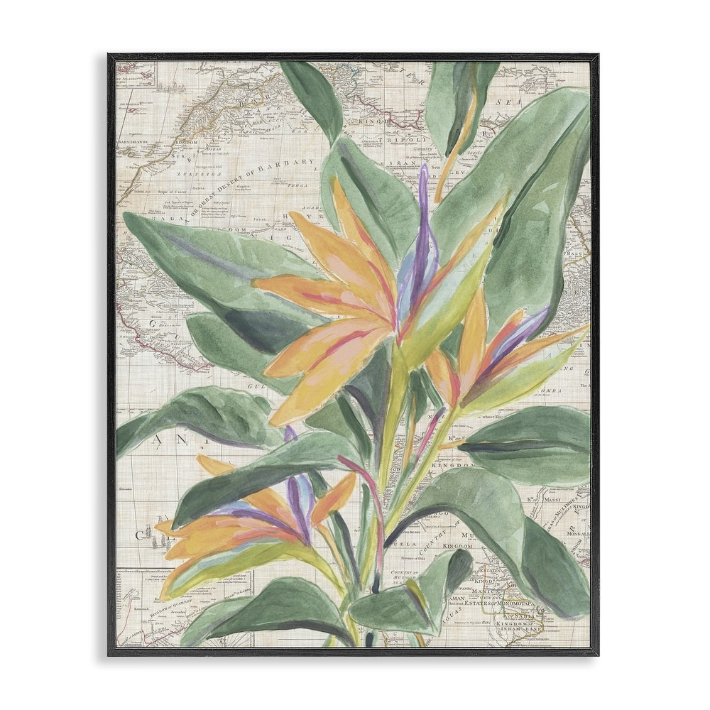 Stupell Tropical Flower over Map Framed Giclee Art Design By June Erica Vess