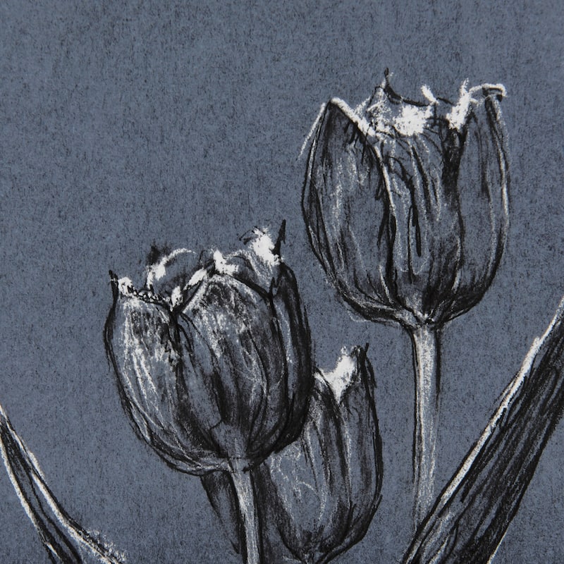 Botanical Sketches I (Blue) Framed Art Print