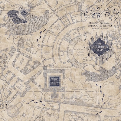 Blue Harry Potter Marauder's Map Peel & Stick Wallpaper