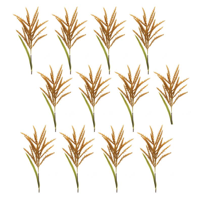 Astilbe Stem (Set of 12)