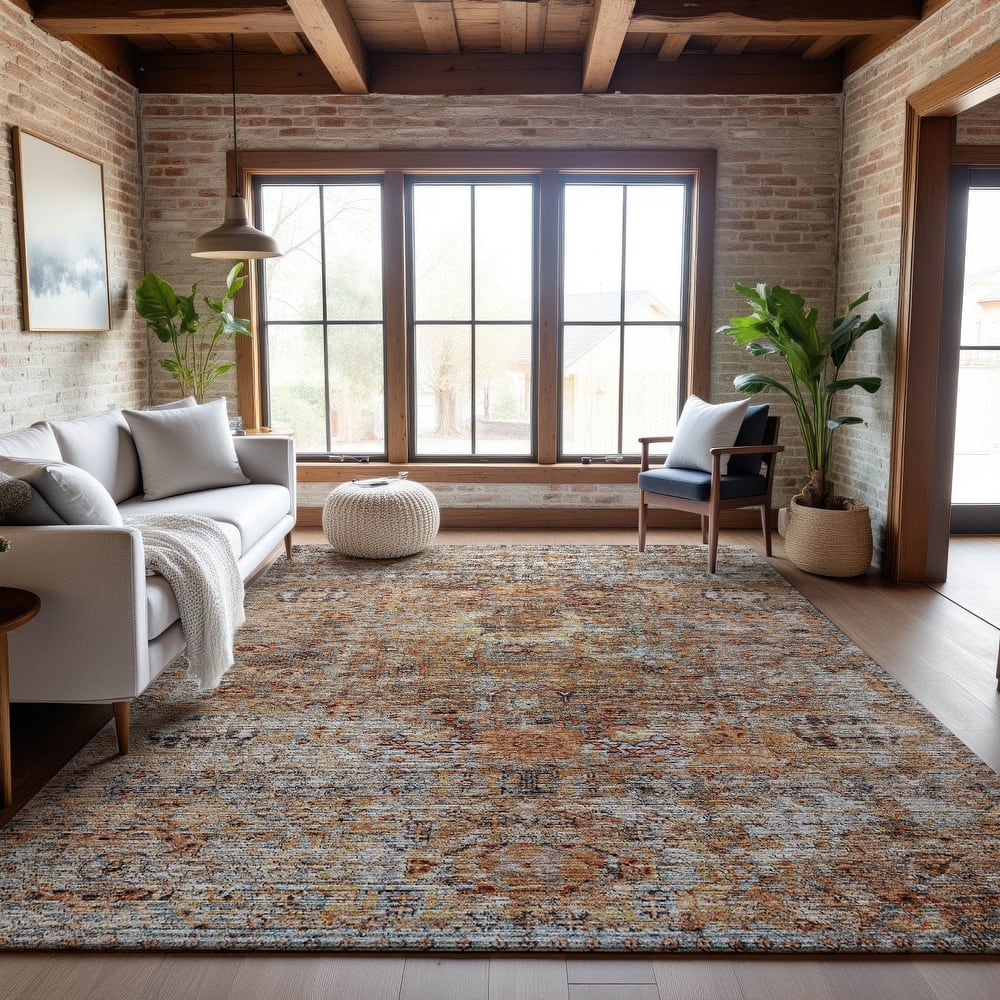 Premium Washable Super Soft Vintage Persian Mayfield Rug