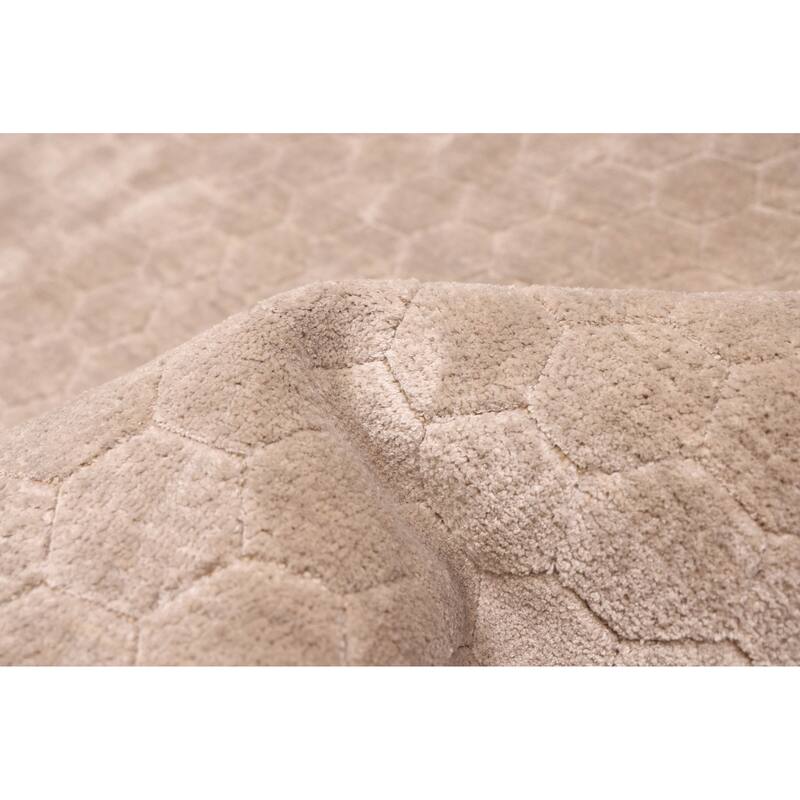 ECARPETGALLERY Hand Loomed Elysian Light Khaki Viscose Rug - 7'11 x 10'0