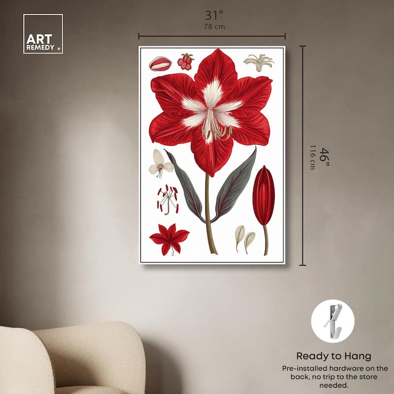 Amaryllis Anatomy Canvas by Art Remedy