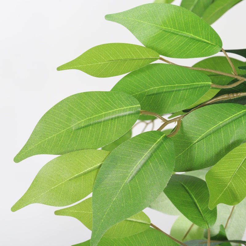 6FT Artificial Ficus Tree with Natural Trunk