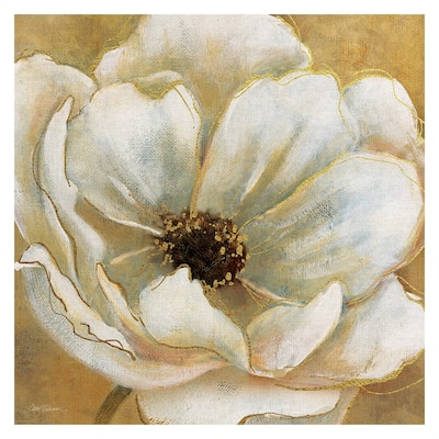 Golden Splendor I by Carol Robinson Canvas Art Print