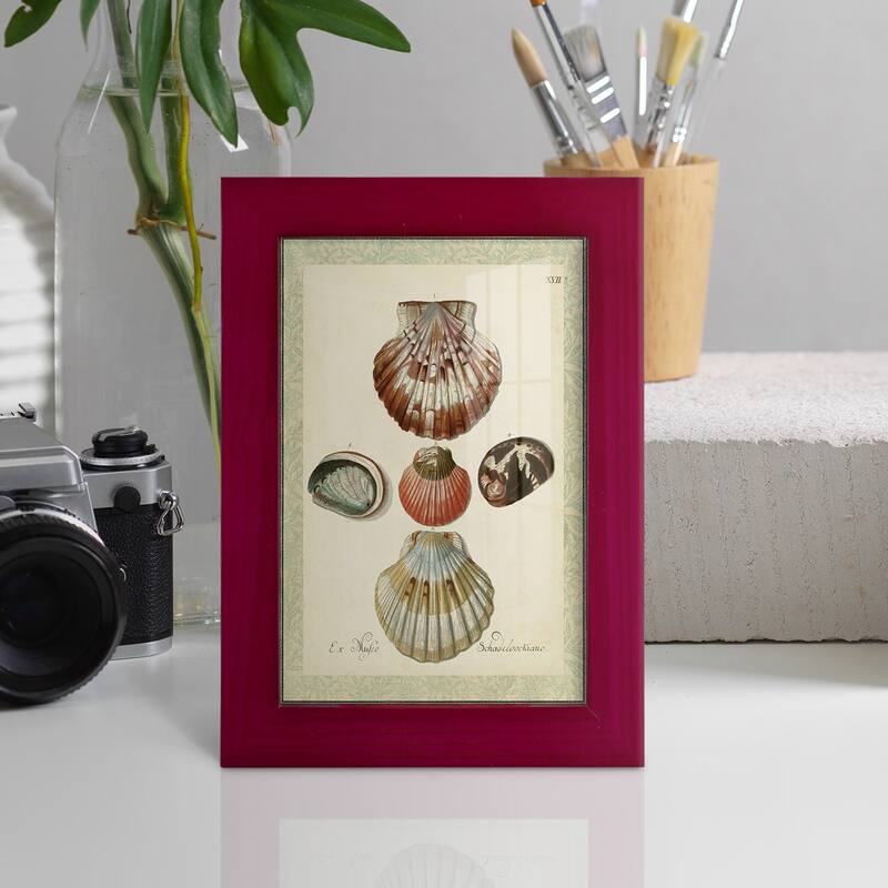 Bookplate Shells III -Framed Print w/glass-Cherry Red