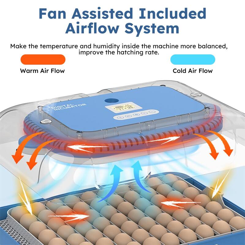 70 Egg Incubator with Automatic Turning and Humidity Control