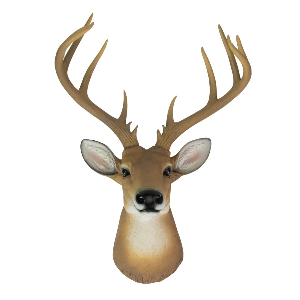 12 Point Buck Deer Head Bust Wall Hanging Trophy Mount 23.5 Inches