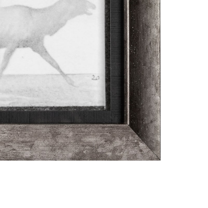 Elk Trotting 56.5L x 1.5W x 43.5H Framed Art Print