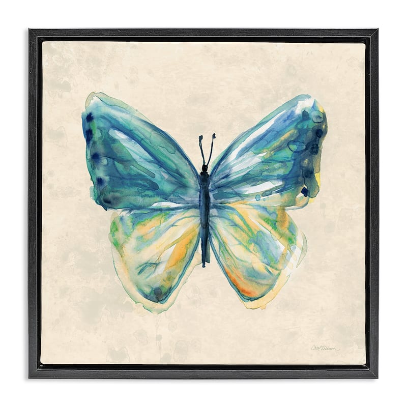 Stupell Bright Watercolor Butterfly Framed Floater Canvas Wall Art Design By Carol Robinson - 25 x 25 - Black