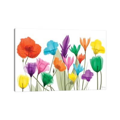 iCanvas "Pretty Floral Jewels I" by Albert Koetsier Canvas Print