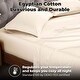 preview thumbnail 33 of 102, Superior Egyptian Cotton 300 Thread Count Solid Bed Sheet Set