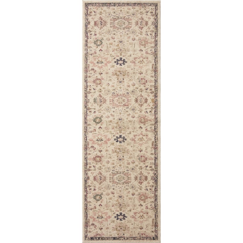 Alexander Home Jewel Shabby-Chic Oriental Area Rug