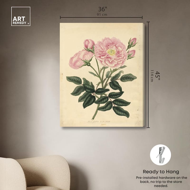 French Rose Canvas by Art Remedy, Gallery Wrapped