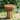 Roomfitters Iris Outdoor Round Side Table with 3 Legs and Wood Grain Texture, Weather Resistant MGO, Brown