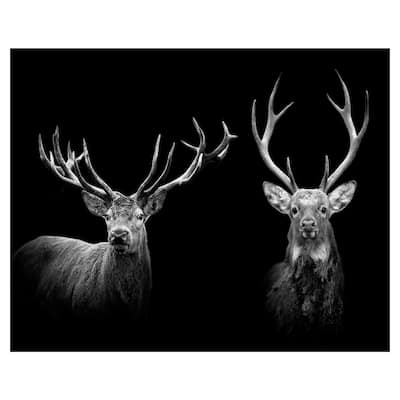 A Couple of Bucks by Belle Maison Canvas Art Print