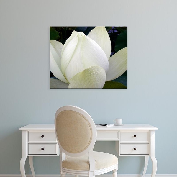 Easy Art Prints Jim Christensen's 'Delicate Lotus IV' Premium Canvas Art