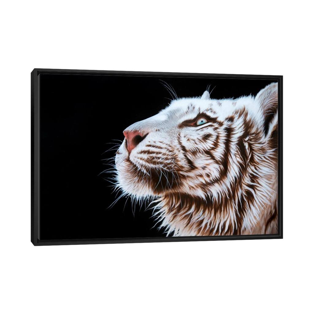 iCanvas "Faith" by Sandi Baker Framed Canvas Print