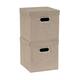 Option Beige