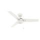 preview thumbnail 61 of 96, Hunter Cassius Outdoor Ceiling Fan, Damp Rated - Industrial, Farmhouse, Contemporary
