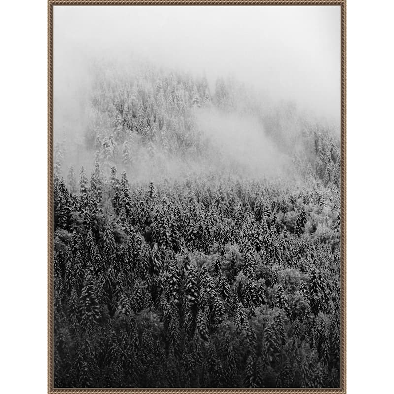 Black and White Foggy Pine Forest in Winter by Michael Schauer (32 x 42 in.), Framed Canvas Wall Art Print