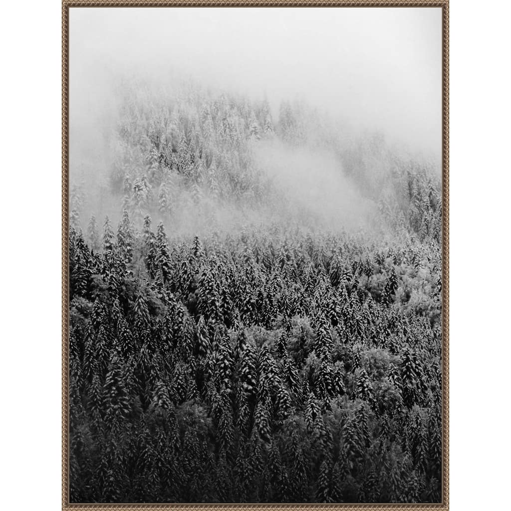 Black and White Foggy Pine Forest in Winter by Michael Schauer (32 x 42 in.), Framed Canvas Wall Art Print
