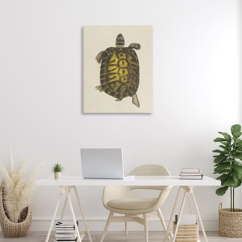 Stupell Vintage Maritime Tortoise Canvas Wall Art Design By Phillipa Katz