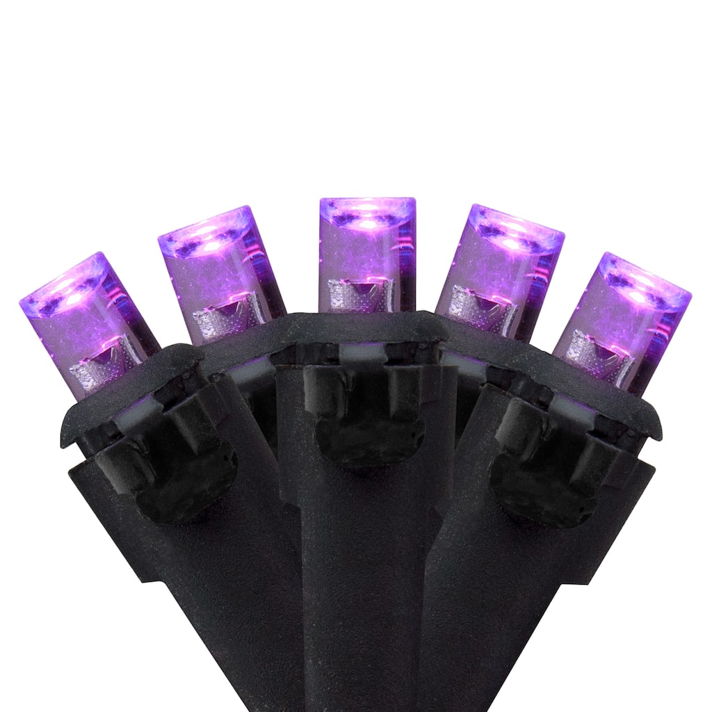Wide Angle LED Christmas Lights - Purple - 16' Black Wire - 50ct - 16ft