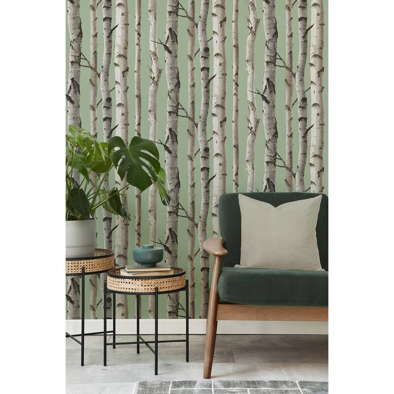 Fine Decor Chester Sage Birch Trees Wallpaper