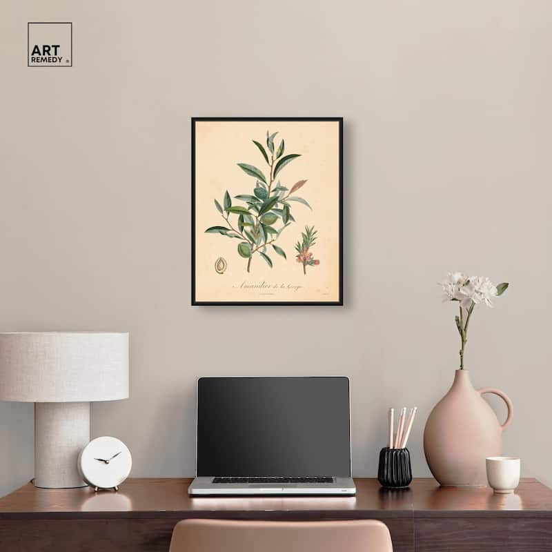 Almond of Georgia I Canvas by Art Remedy