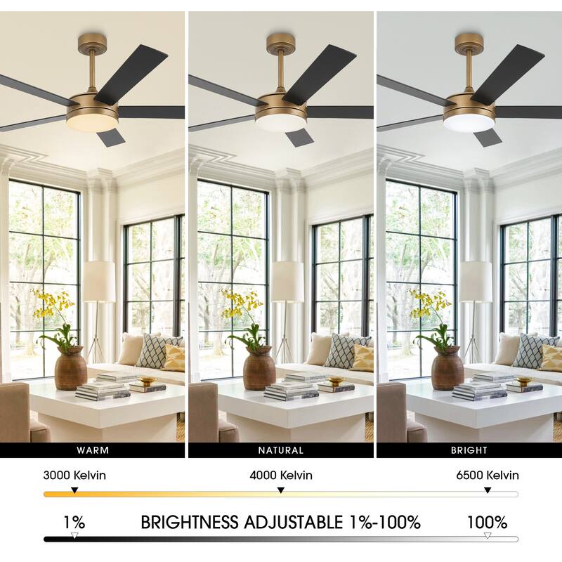 Vaczon 48" Gold Reversible Dimmable LED Smart Ceiling Fan with Light, App Comtrol and Remote