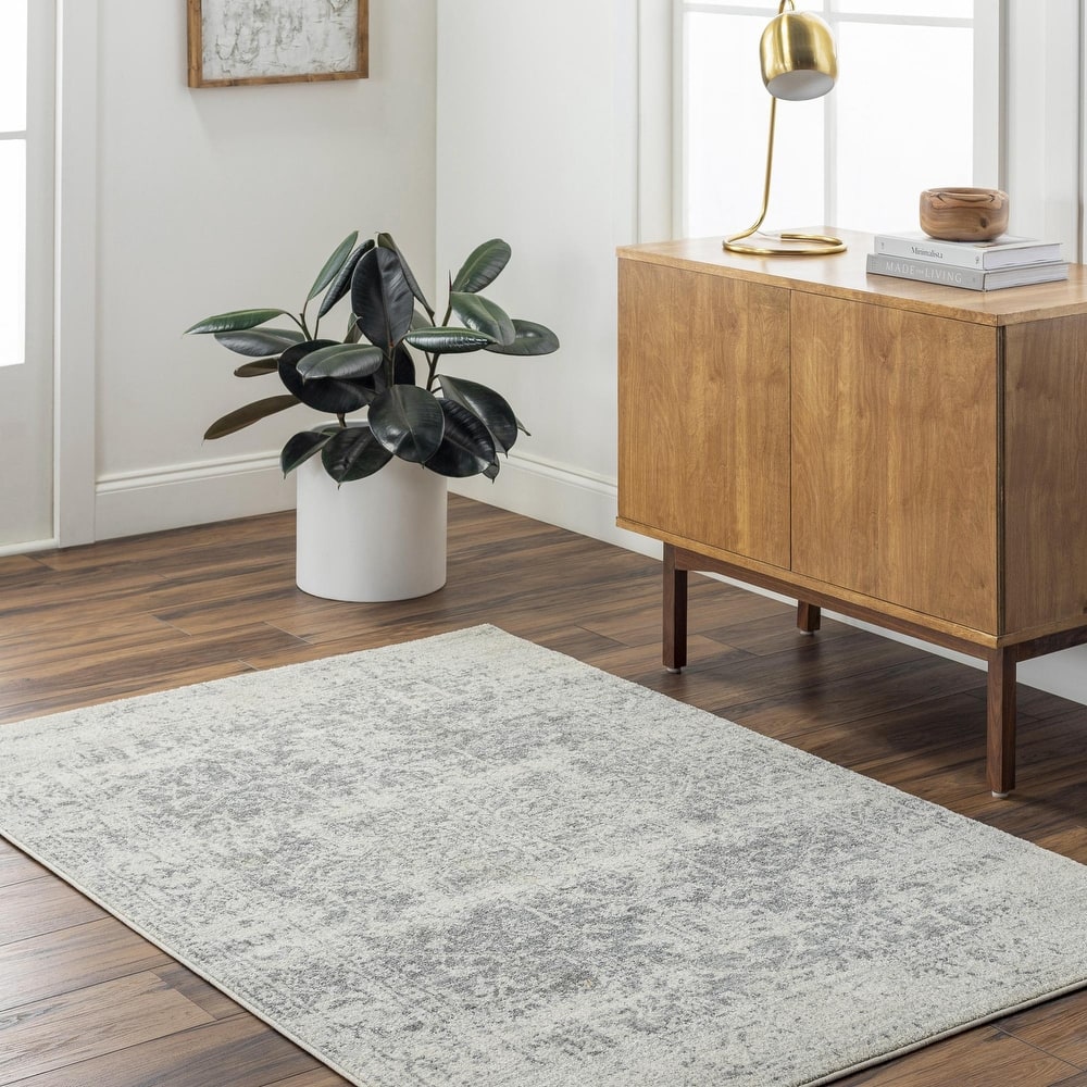 Livabliss Harput Updated Traditional Medallion Area Rug