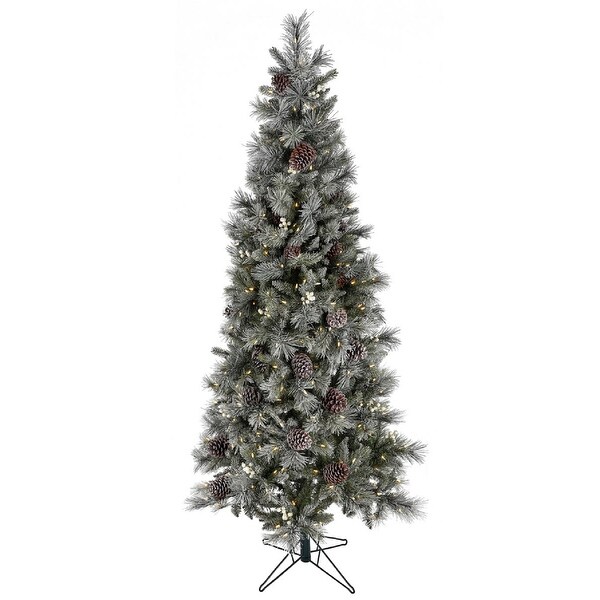 Twinkle deals coupon code