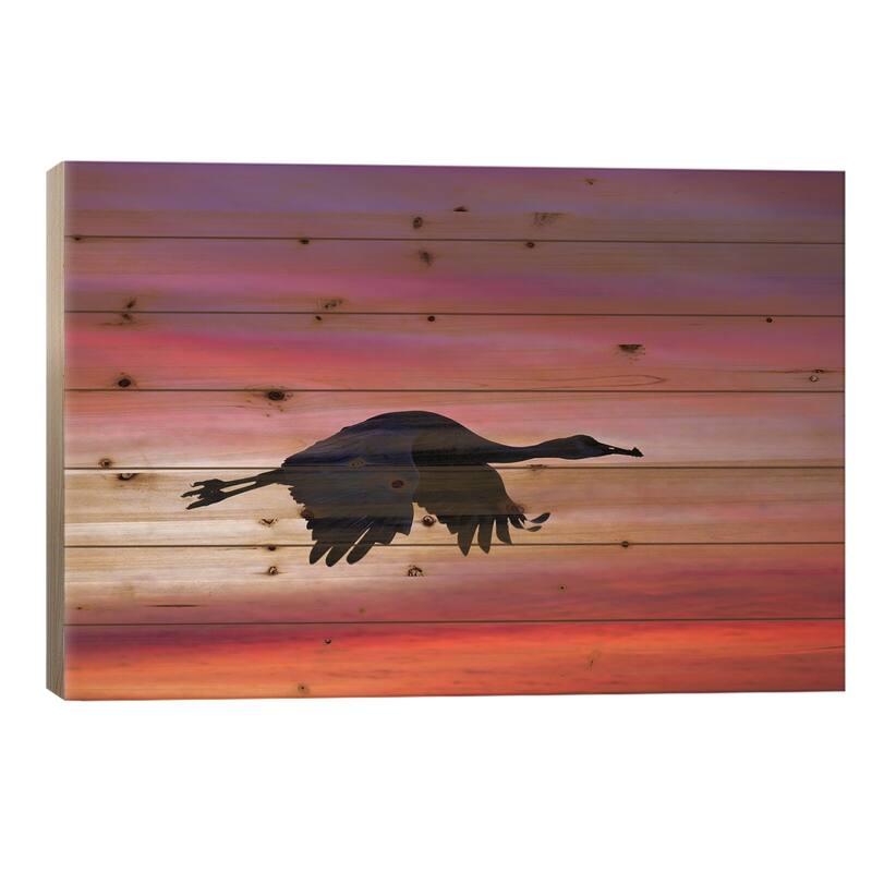 Sandhill Crane Silhouetted Flying At Sunset. Bosque Del Apache National Wildlife Refuge, New Mexico Print On Wood by Adam Jones - 18x26x1.5
