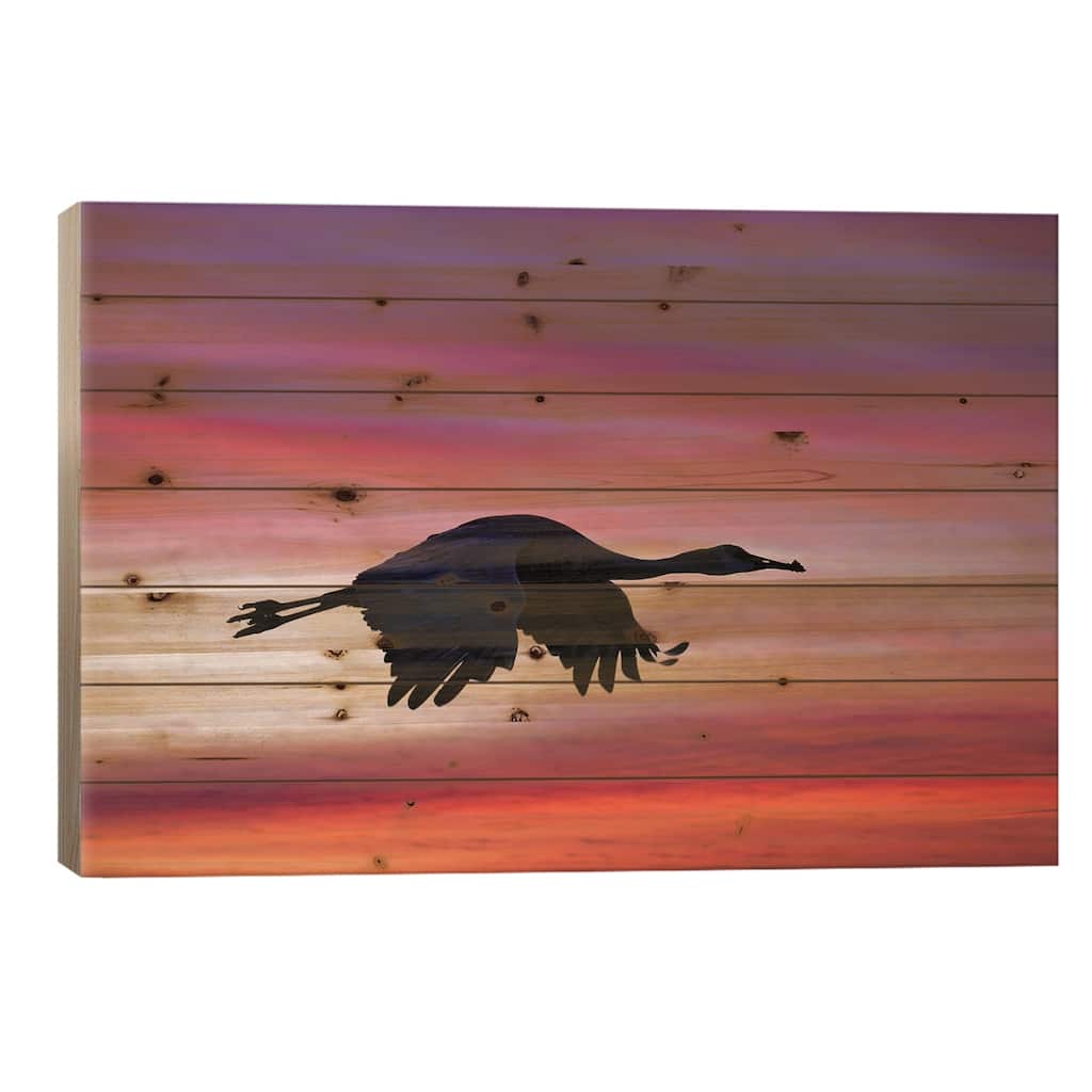 Sandhill Crane Silhouetted Flying At Sunset. Bosque Del Apache National Wildlife Refuge, New Mexico Print On Wood by Adam Jones