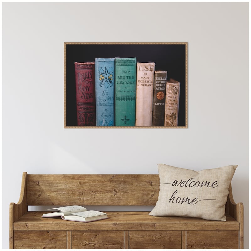 Kate and Laurel Sylvie Vintage Classic Books Framed Canvas by Patricia Hasz of Patricia Rae Photography