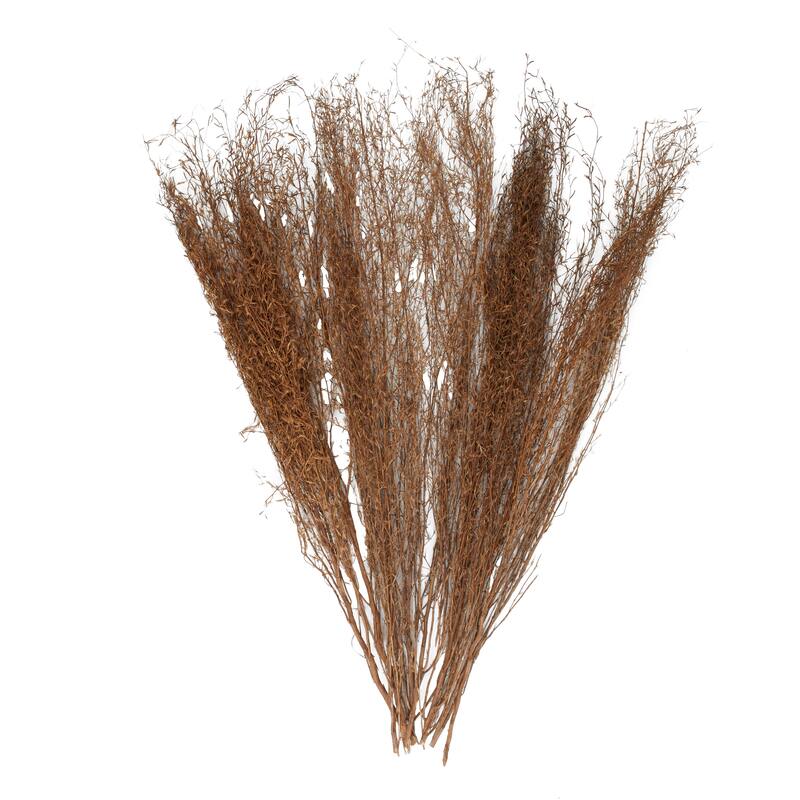 Dried Plant Tall Sticks Home Decor Natural Foliage with Grass - Brown - Roche River Decor
