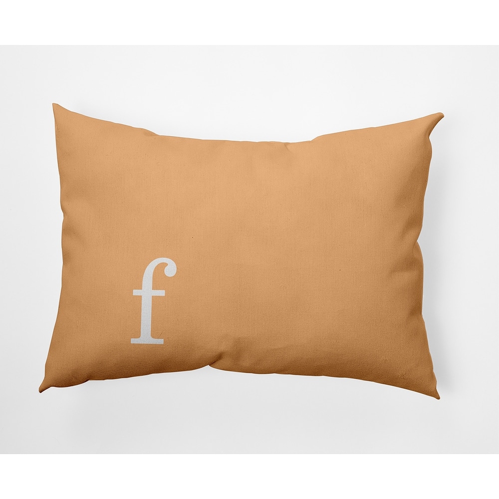 Modern Monogram Indoor/Outdoor Throw Pillow-F