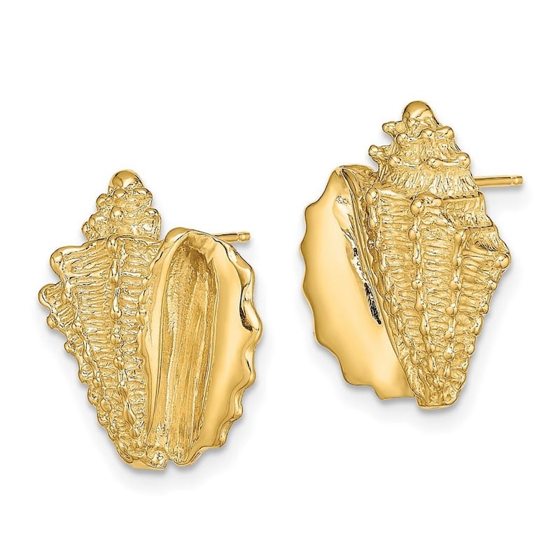 Curata 14k YellowGold Conch Shell Post Earrings 2 d - 17.62x14mm