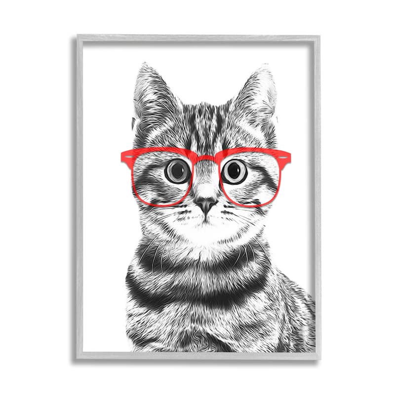Stupell Black White Monochrome Cat Red Glasses Design Framed Wall Art